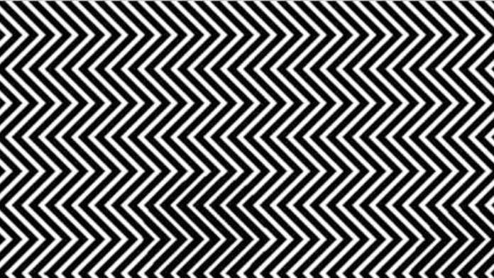 Illusion d'optique fascinante : Pouvez-vous repérer l'animal caché en noir et blanc ?