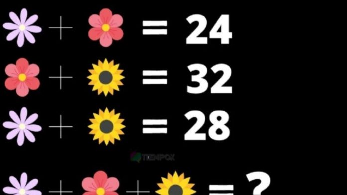 Puzzle visuel et mathématique pour experts : Combien vaut chaque fleur dans cette équation ?